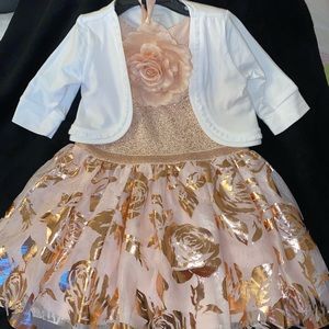 Pretty Toddler Dress 3T